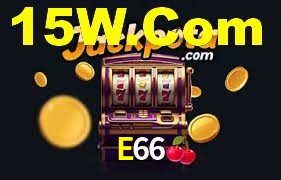 Premium Interface E66